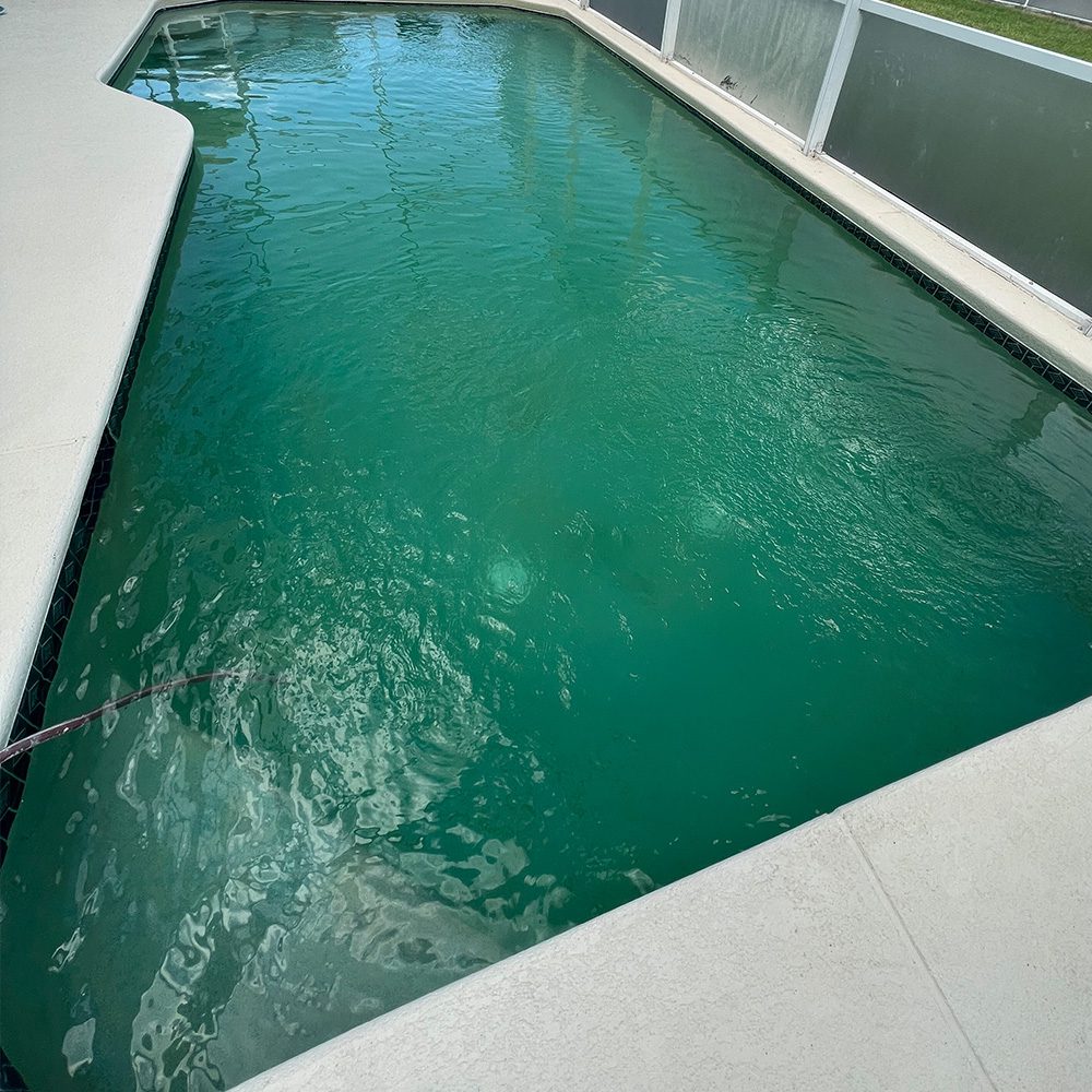 A pool with green water and a white fence, water requieres cleaning